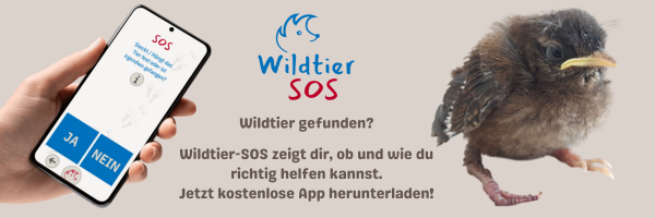 https://wildtier-sos.de/download